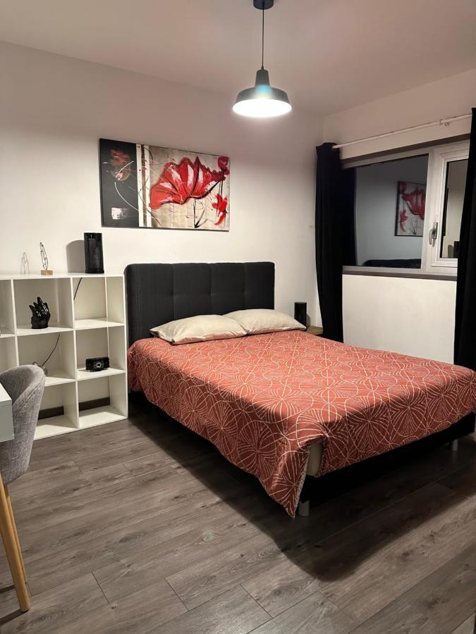 Magnifique Loft - Hyper Centre Apartment Annemasse Ngoại thất bức ảnh