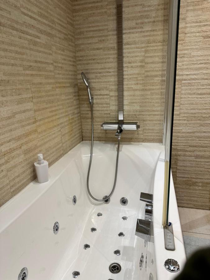 Magnifique Loft - Hyper Centre Apartment Annemasse Ngoại thất bức ảnh