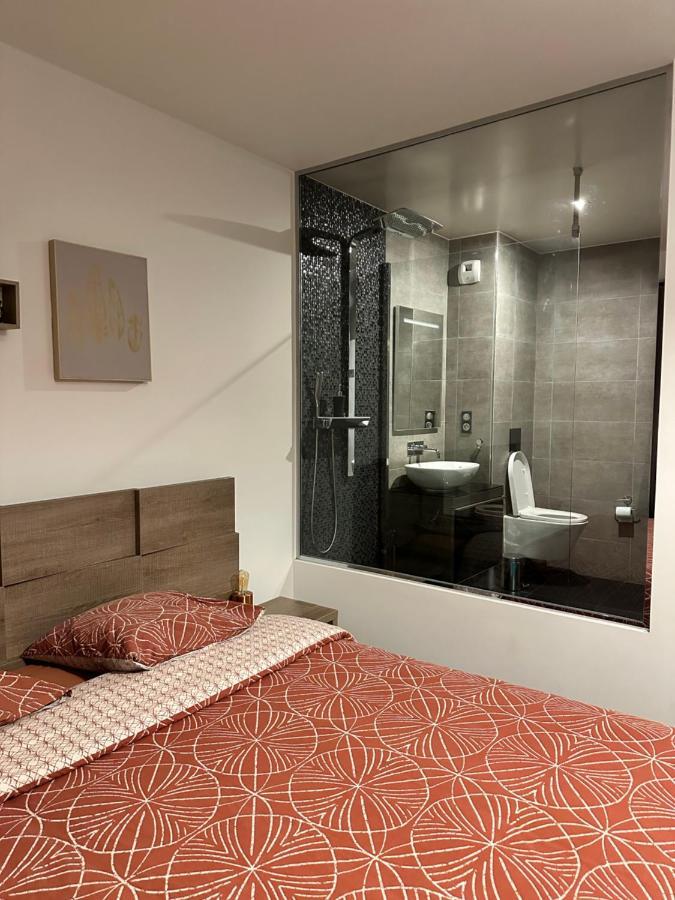 Magnifique Loft - Hyper Centre Apartment Annemasse Ngoại thất bức ảnh